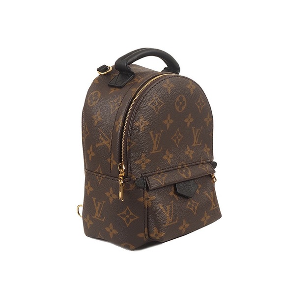 ❌SOLD❌ Louis Vuitton Palm Springs Mini - Picture 2 of 5